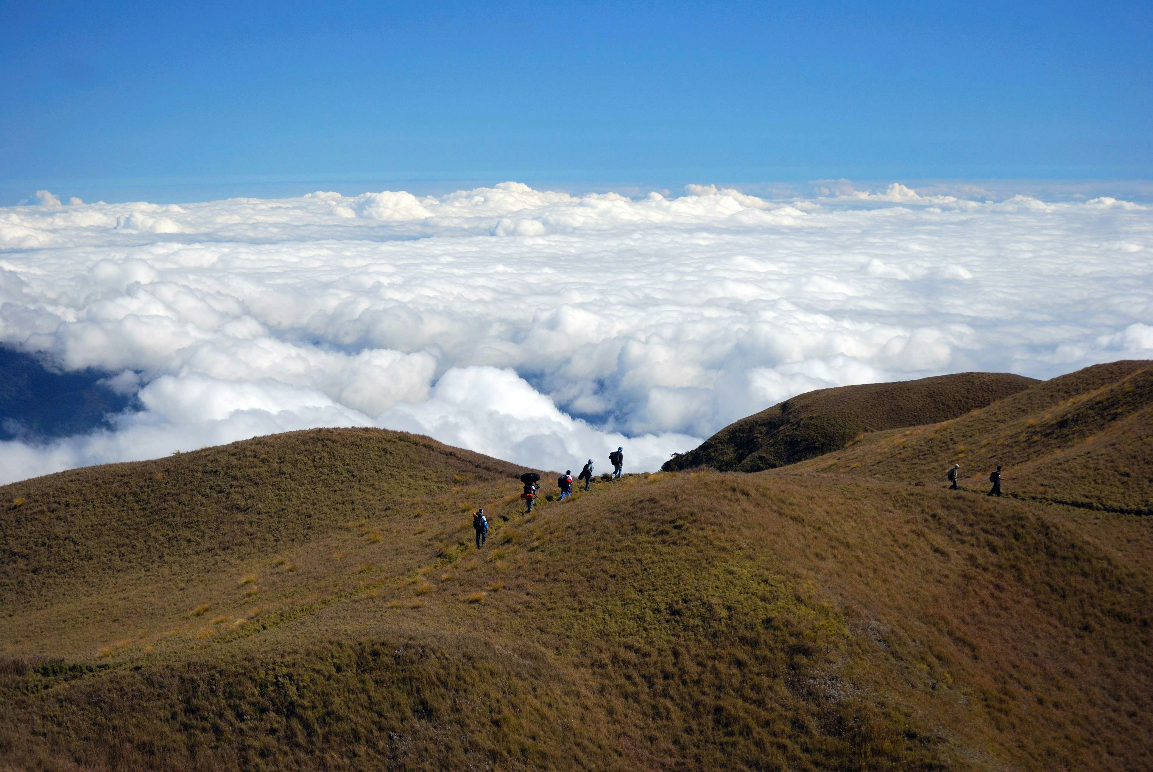 people climbing on mountain during daytime